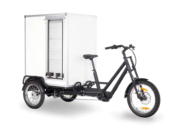 Model : Trike, the cargo ebike of LEKUMA Technology Inc.